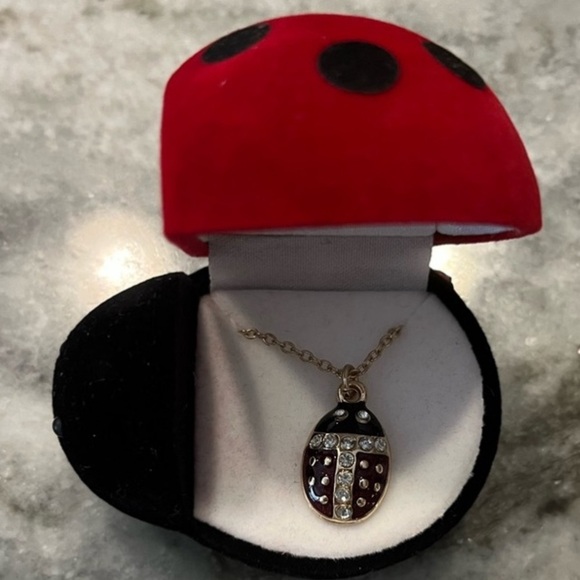 Ladybug necklace - Picture 1 of 8